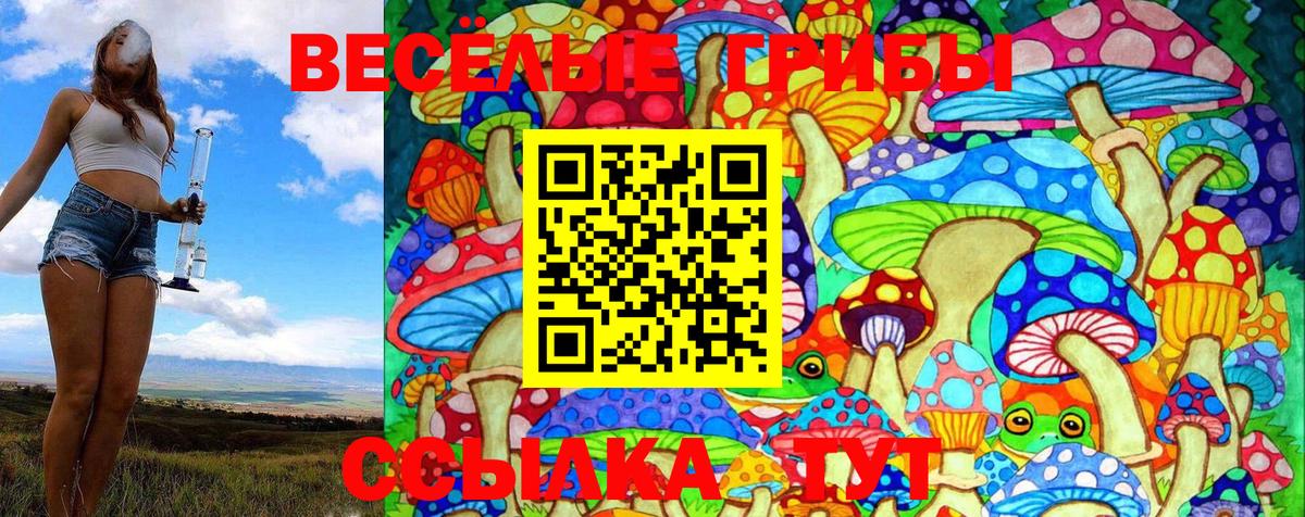 Псилоцибиновые грибы Magic Shrooms  Вход с VPN  Галлюциногенные грибы мухоморы  Черняховск 